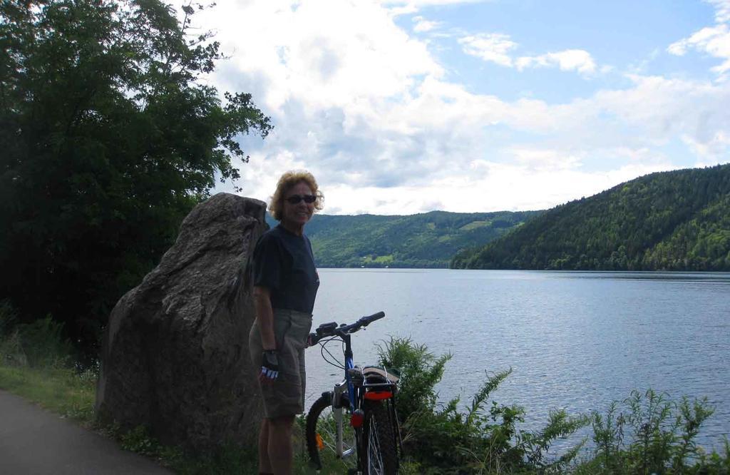 Edwards Apartment Millstatt am See Pokój zdjęcie